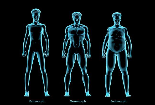 What's Your Body Type: Ectomorph, Endomorph or Mesomorph?