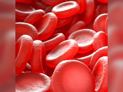 Anemia: Common Causes, Symptoms, Types, and Treatment